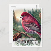 New Hampshire Staat Bird Lila Finish Postkarte (Vorne/Hinten)