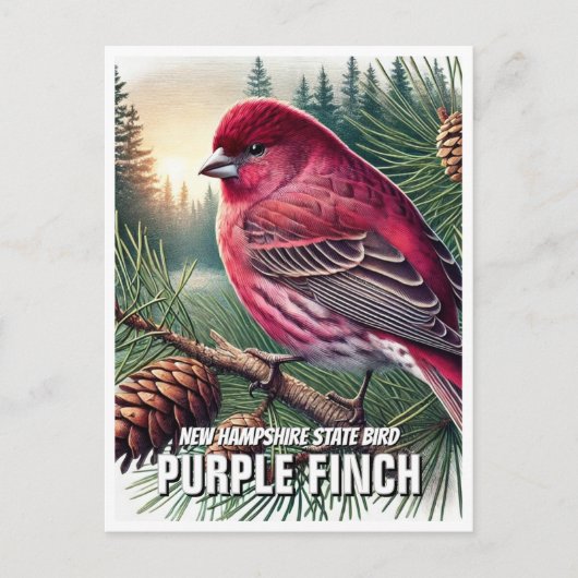 New Hampshire Staat Bird Lila Finish Postkarte (Vorderseite)