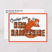 New Hampshire State Symbol Red Spotted Newt Orange Postkarte (Vorne/Hinten)