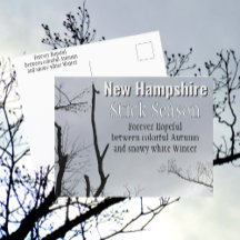 New Hampshire Stick Season New England Foto