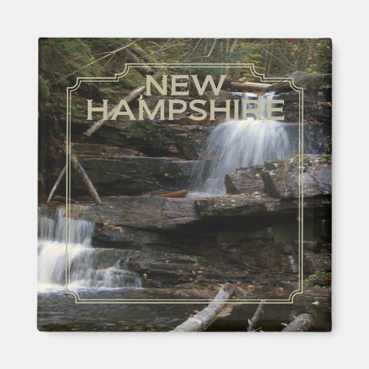New Hampshire USA Staat Souvenir Kühlschrankmagnet (Vorne)