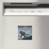 New HampshireCommon Loon Magnet (In Situ (Geschirrspüler))