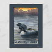 New HampshireCommon Loon Postkarte (Vorderseite)