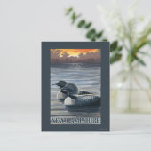 New HampshireCommon Loon Postkarte (Stehend Vorderseite)