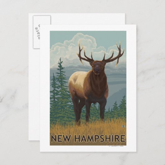 New HampshireElk Scene Postkarte (Vorne/Hinten)