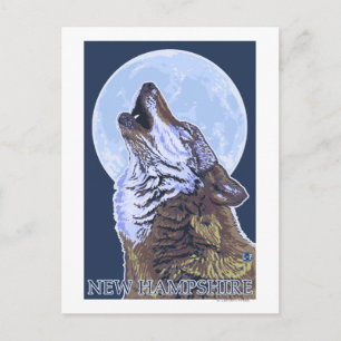 New HampshireHowling Wolf Postkarte