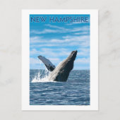 New HampshireHumpback Whale Scene Postkarte (Vorderseite)