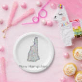 New Hampshirekarte Pappteller