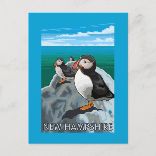 New HampshirePuffins Scene Postkarte (Vorderseite)