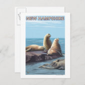 New HampshireSea Lions Scene Postkarte (Vorne/Hinten)