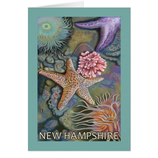 New HampshireTidepool Scene (Vorne)