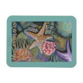 New HampshireTidepool Scene Magnet (Horizontal)