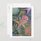 New HampshireTidepool Scene Postkarte (Vorne/Hinten)