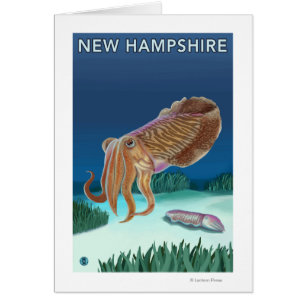 New HampshireTintenfischszene