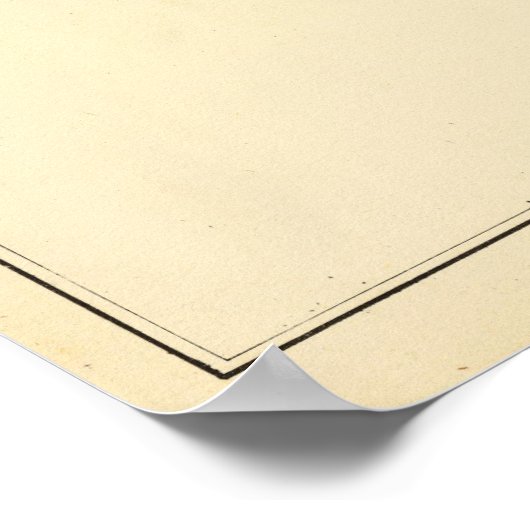 New Haven Map Poster (Ecke)