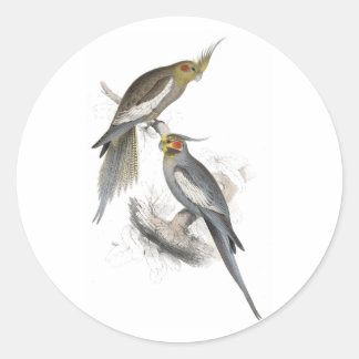 New Holland Parrakeet von Edward Lear Runder Aufkleber