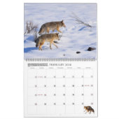 New! 'I am Coyote' 2026 calendar Kalender (Feb 2026)