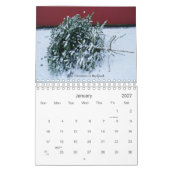 *New* Island mustert 2008, mit Text Kalender (Jan 2027)