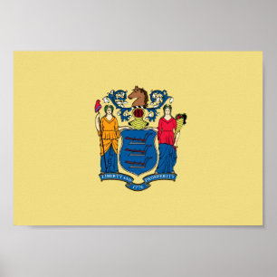 New-Jersey Flagge Poster