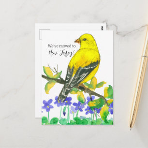 New Jersey Goldfinch Violets Postkarte