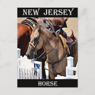 New Jersey Horse Postkarte