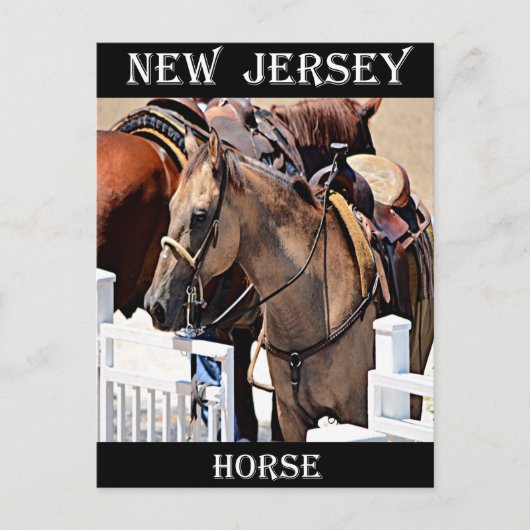 New Jersey Horse Postkarte (Vorderseite)