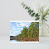 New Jersey Pine Barrens im Winter Postkarte (Stehend Vorderseite)