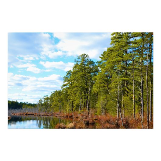 New Jersey Pinelands Fotodruck (Vorne)