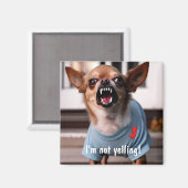 NEW JERSEY SPASS CHIHUAHUA KÜHLSCHRANK MAGNET (Vorderseite/Rückseite)