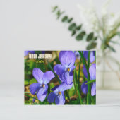 New Jersey Staat Blume: Violett Postkarte (Stehend Vorderseite)
