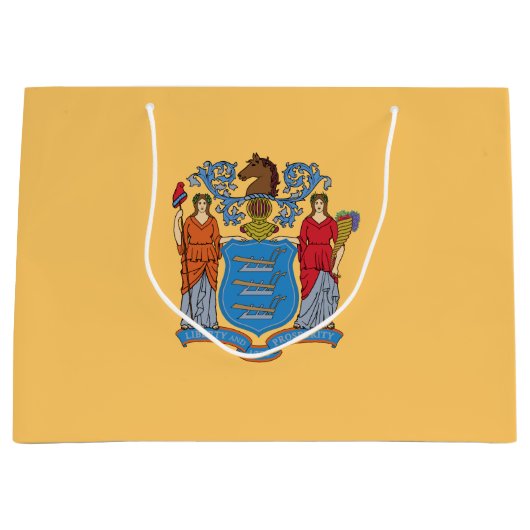 New Jersey State Flag Große Geschenktüte (Vorderseite)