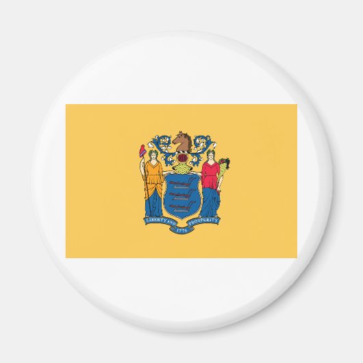 New Jersey State Flag Magnet (Vorne)