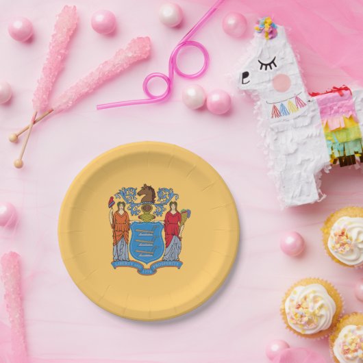 New Jersey State Flag Pappteller (Party)
