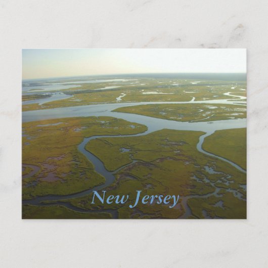 New Jersey Wetlands Postcard Postkarte (Vorderseite)