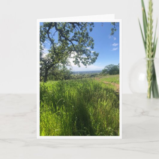 New Life - 1 Karte (Vorderseite)