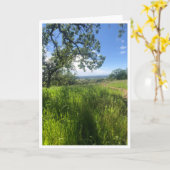 New Life - 1 Karte (Gelbe Blume)