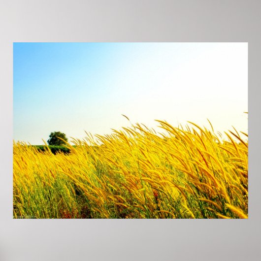 "New Life in Eden" Photograph Print Poster (Vorne)