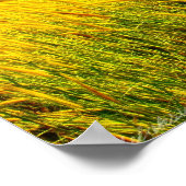 "New Life in Eden" Photograph Print Poster (Ecke)