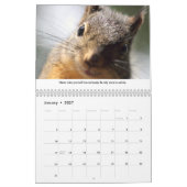 New Life Lessons Funny Squirrel Calendar Kalender (Jan 2027)