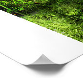 New Mexico Allosaurus Poster (Ecke)