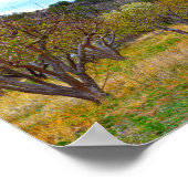 New Mexico Apple Orchard in Bloom Poster (Ecke)