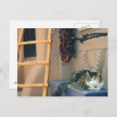 New Mexico Cat Postkarte (Vorne/Hinten)
