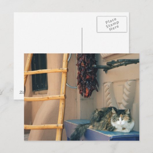 New Mexico Cat Postkarte (Vorne/Hinten)