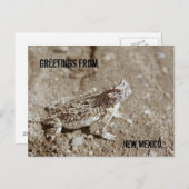 New Mexico Horned Toad Postcard Postkarte (Vorne/Hinten)