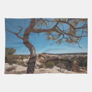 New Mexico Landscape Foto Geschirrtuch