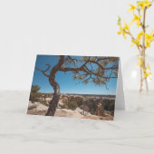 New Mexico Landscape Foto Karte (Gelbe Blume)