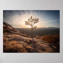 New Mexico Landscape Foto Poster