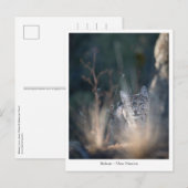 New Mexico Landscape Foto Postkarte (Vorne/Hinten)