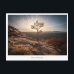 New Mexico Landscape Foto Postkarte<br><div class="desc">Landschaftliches Foto der Sandstone Bluffs,  El Malpais National Monument in New Mexico,  USA. Foto © Sebastian Wurm.</div>