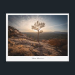 New Mexico Landscape Foto Postkarte<br><div class="desc">Landschaftliches Foto der Sandstone Bluffs,  El Malpais National Monument in New Mexico,  USA. Foto © Sebastian Wurm.</div>